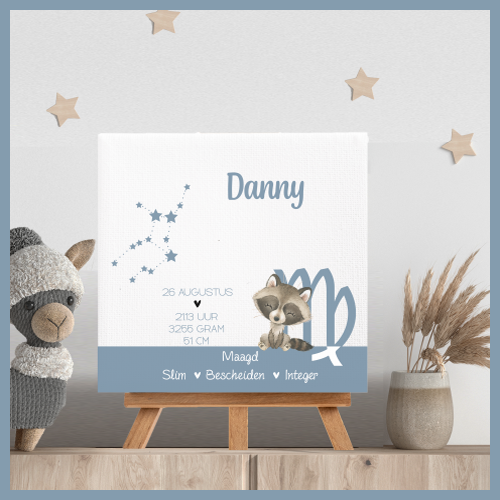 Sterrenbeeld Maagd Danny