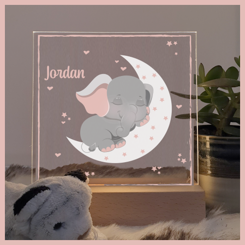 Olifantje op maan roze Jordan