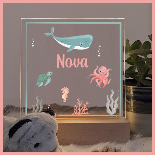 Zeediertjes Nova