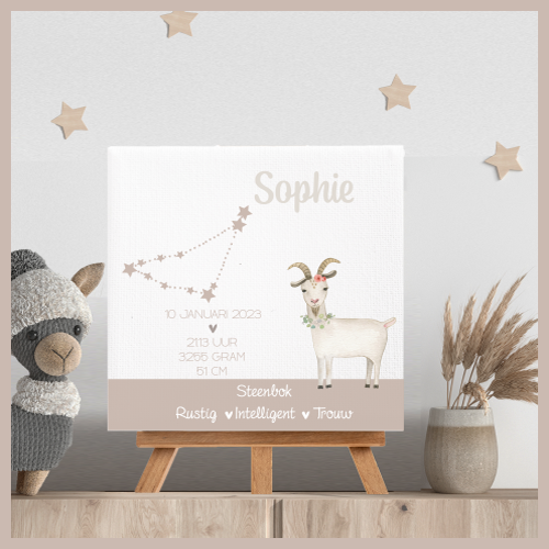 Sterrenbeeld Steenbok Sophie