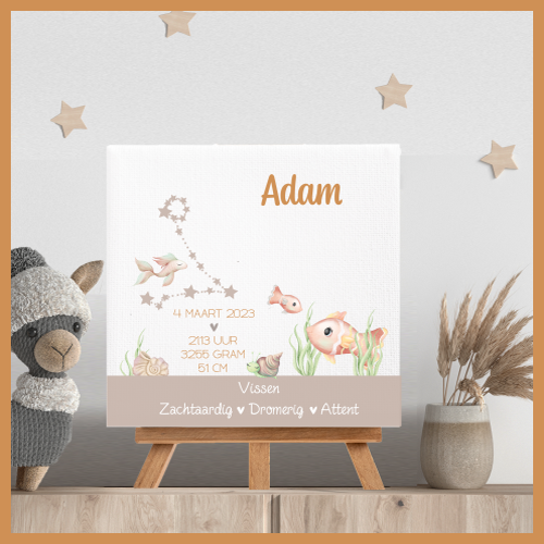 Sterrenbeeld Vissen Adam